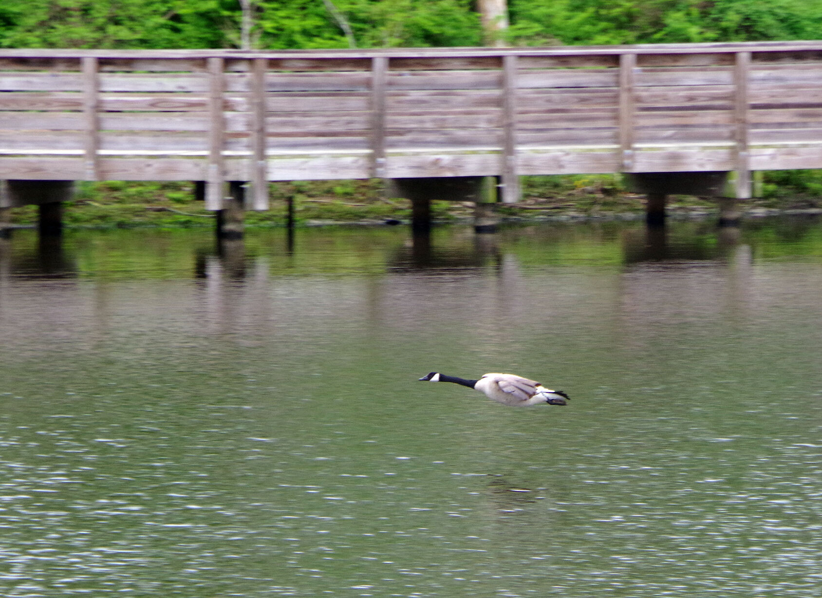 Fishing Derby